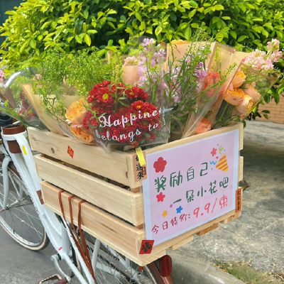 宠物护理小知识动漫图片